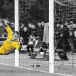 futebol jovem ACADEMIA ESTRELAS TALENTO Liga Campeonato Promessas Revelação Formação - FUTGEST