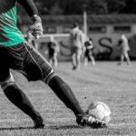 futebol jovem ACADEMIA ESTRELAS TALENTO Liga Campeonato Promessas Revelação Formação - FUTGEST