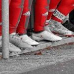 futebol jovem ACADEMIA ESTRELAS TALENTO Liga Campeonato Promessas Revelação Formação - FUTGEST